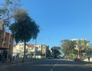הסדרי תנועה, בטיחות בתנועה, אבי יקואל